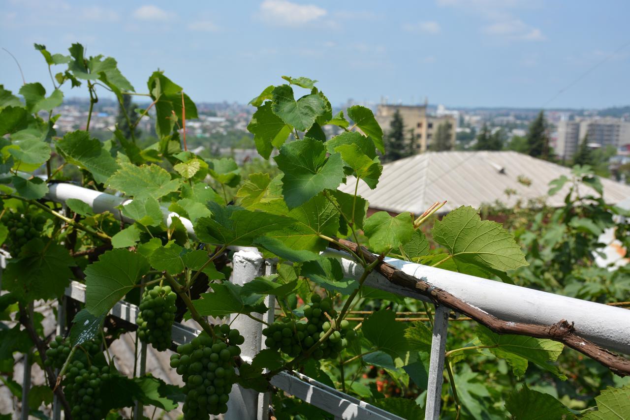 Friends House Hotel Kutaisi Bagian luar foto