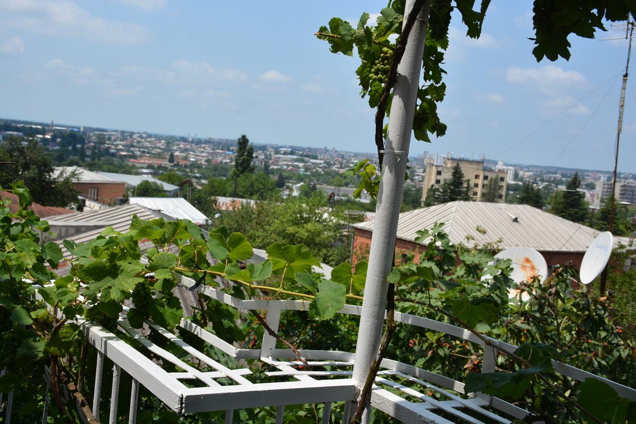 Friends House Hotel Kutaisi Bagian luar foto